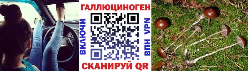 Купить где  Велиж  Галлюциногенные грибы GOLDEN TEACHER 