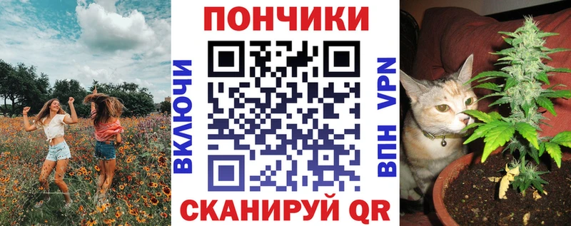 Бошки марихуана Bruce Banner  Купить где  Велиж 